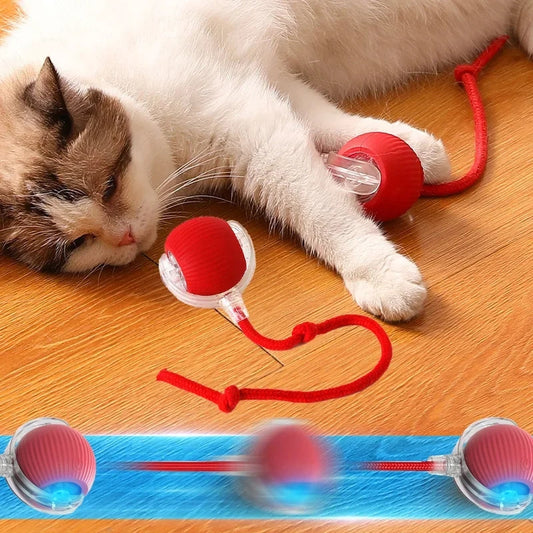 Smart cat Interactive automatic rolling Ball