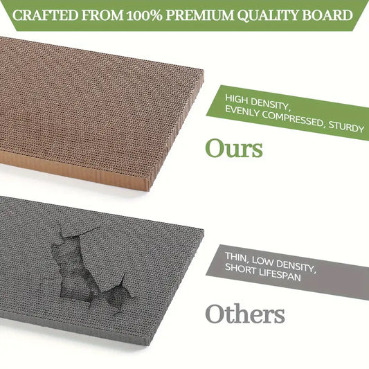 Cat Scratching House