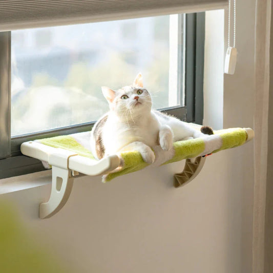 Cutier Cat window Hammock
