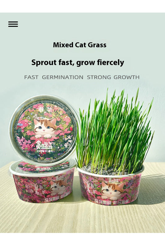 Organic cat Grass