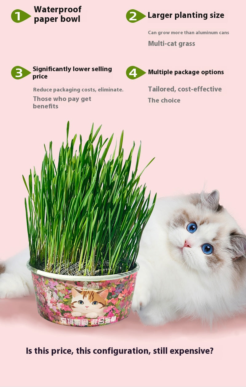 Organic cat Grass