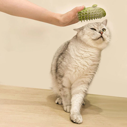 Cat Hair Removal Massage corner Comb Self Grooming