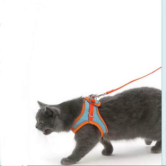 Cute Cat Harness