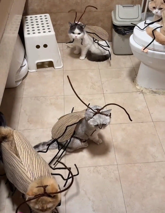 Funny Cockroach Cat Costume