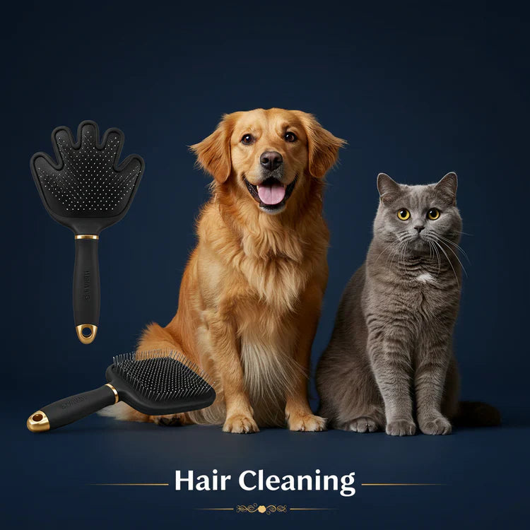 Hair Cleaning