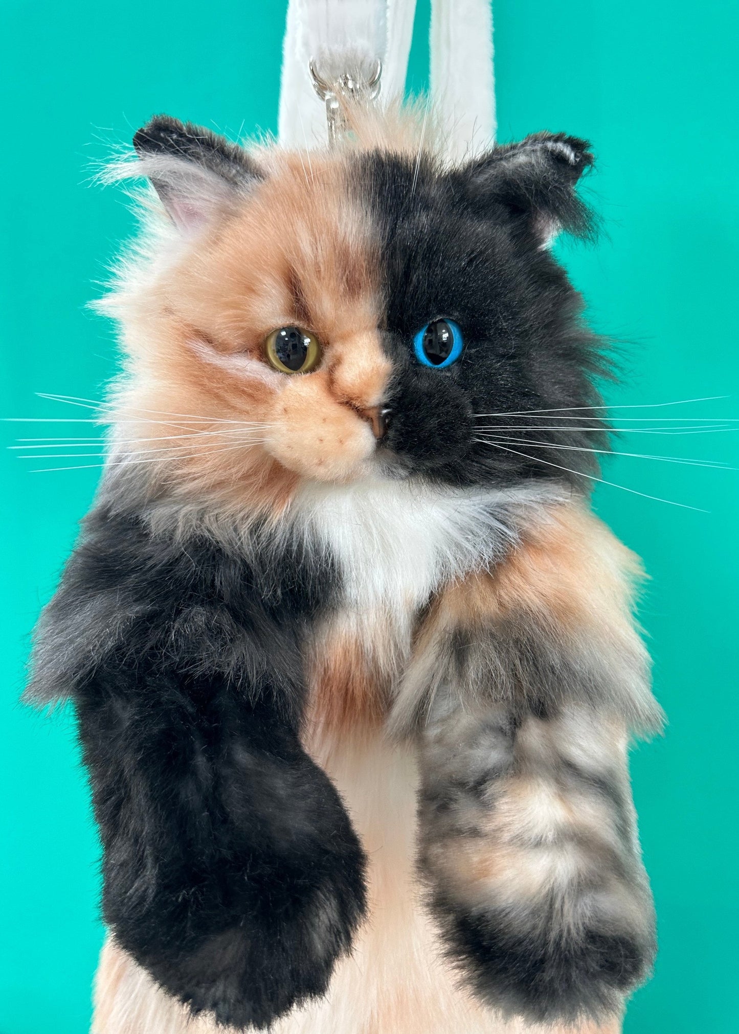 Custom Backpack (Long Hair Cat Only)