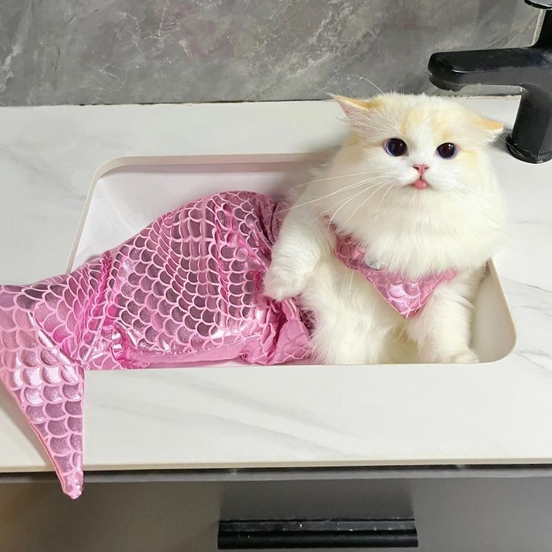 Cute Mermaid Cat suit
