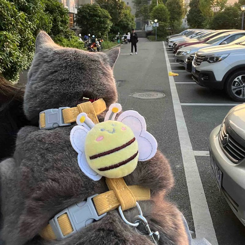 Butterfly Cat Bee Harness