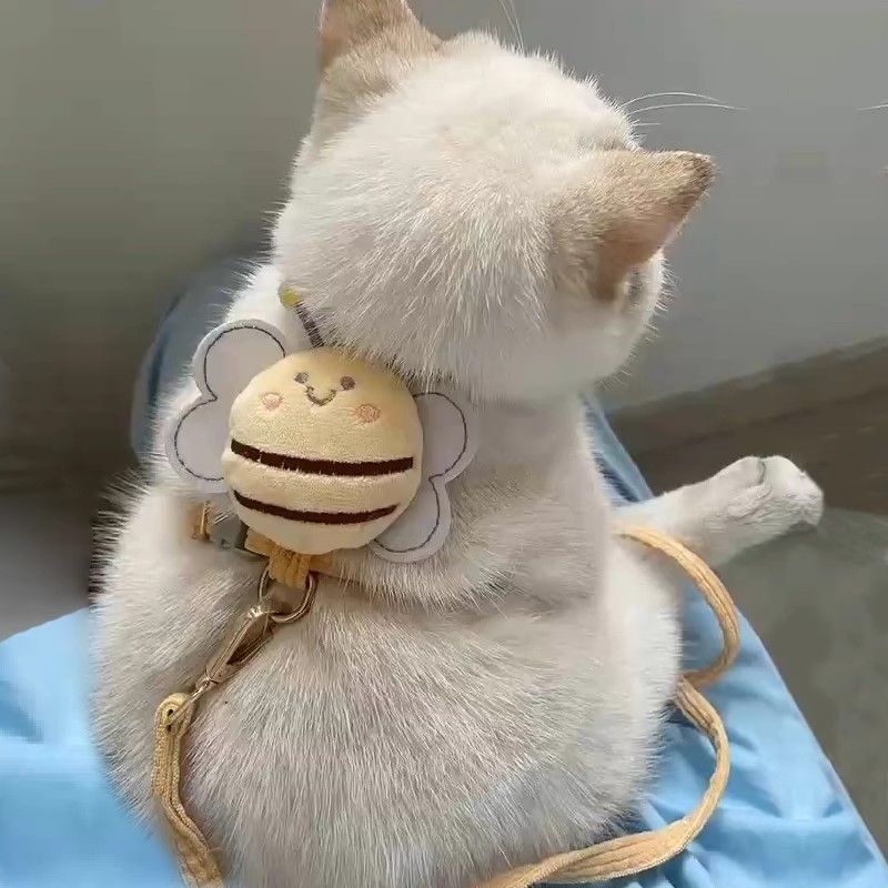Butterfly Cat Bee Harness