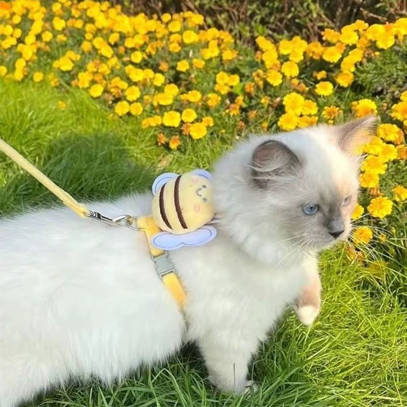 Butterfly Cat Bee Harness