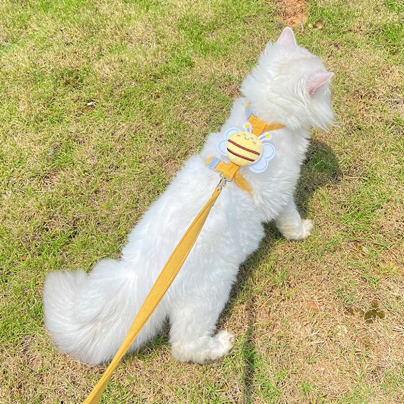 Butterfly Cat Bee Harness