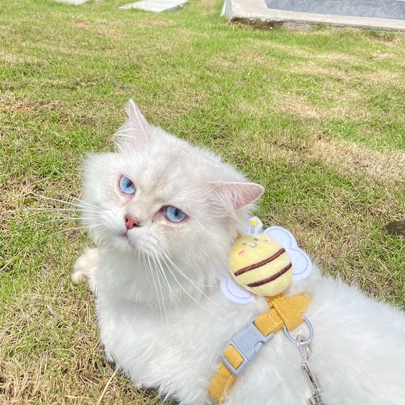 Butterfly Cat Bee Harness