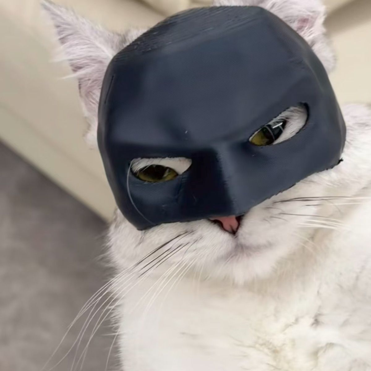 Bat Cat Halloween Gift Mask