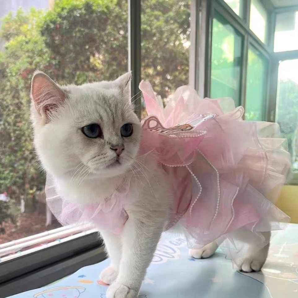 Cat and Dog Princess Butterfly Skirt Dress