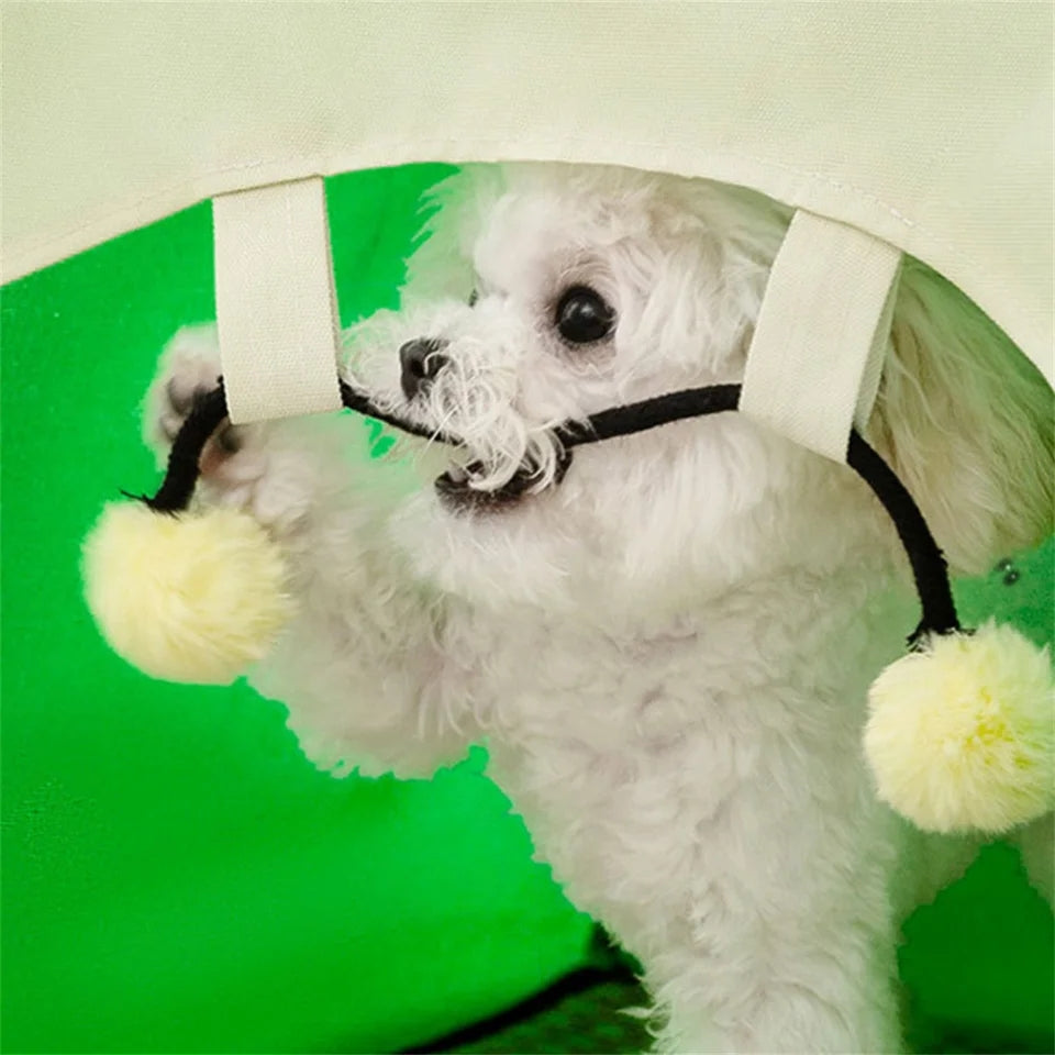 Cute Sun Protection Outdoor Pet Tent