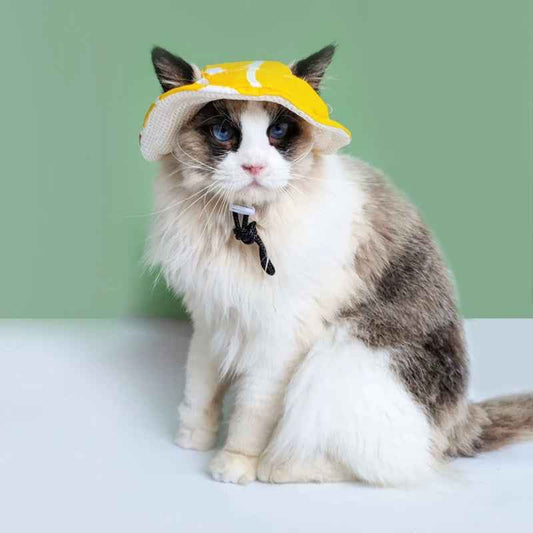 Cute Cool Pet Hat