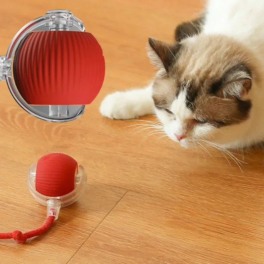 Smart cat Interactive automatic rolling Ball