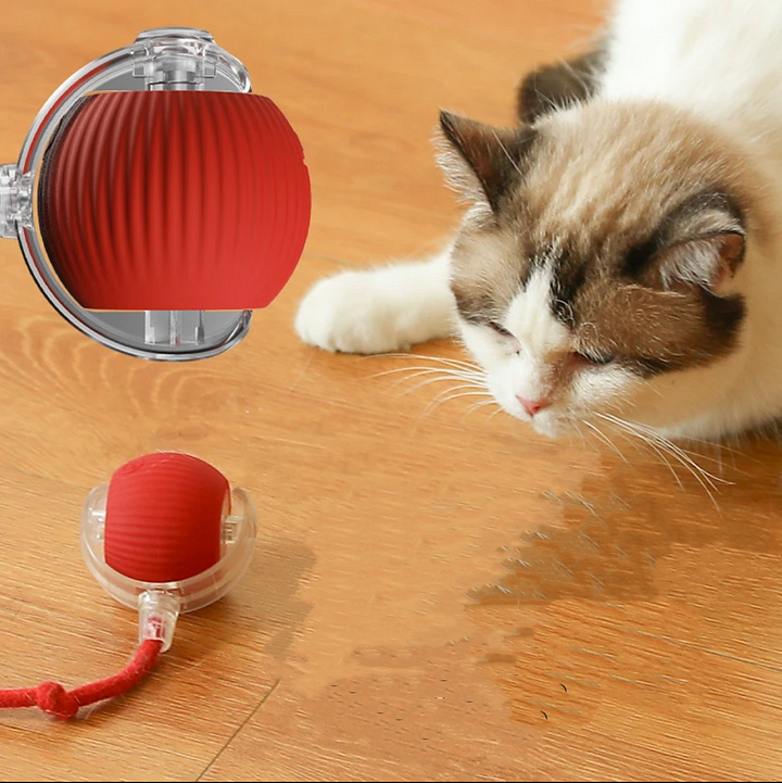 Smart Cat Interactive Ball Chug Ball Self rolling Cat tut-tut Ball