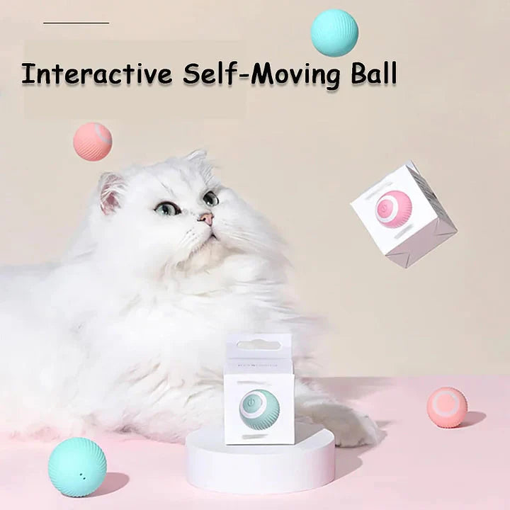 Smart Cat Interactive Ball Chug Ball Self rolling Cat tut-tut Ball