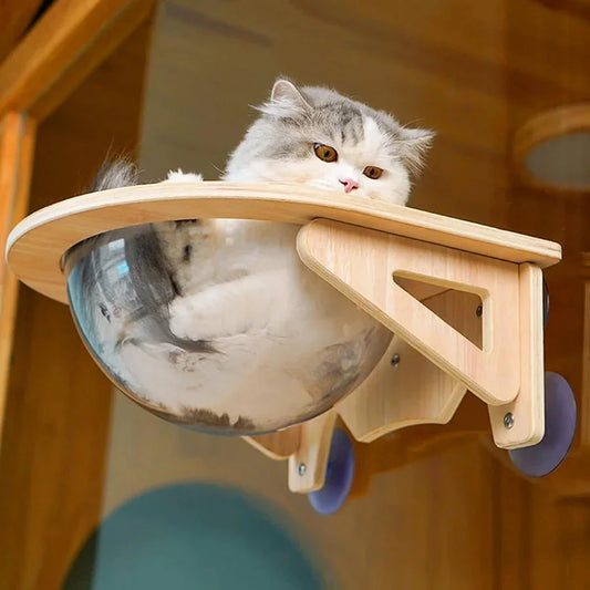 Acrylic Cat Window Perch for Indoor Cats, 20kg/30kg Load Bearing Cat Hammock