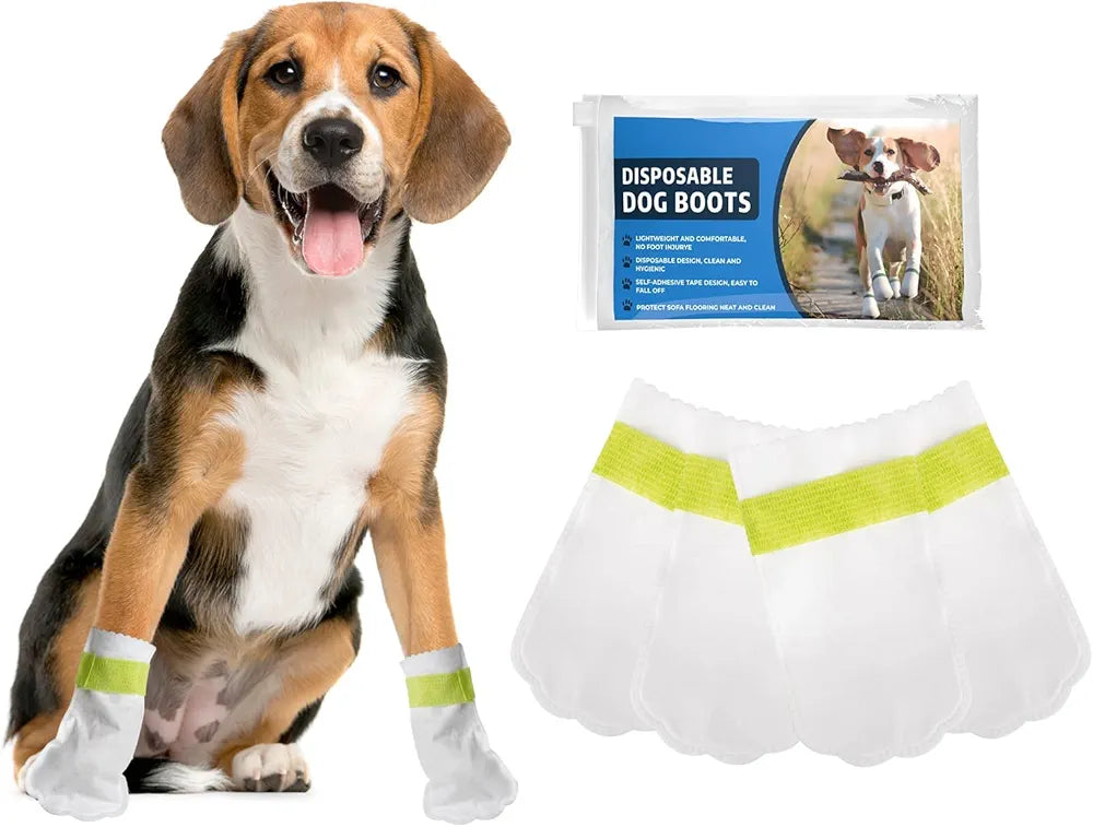 Disposable Waterproof Dog Booties for Paw Protection