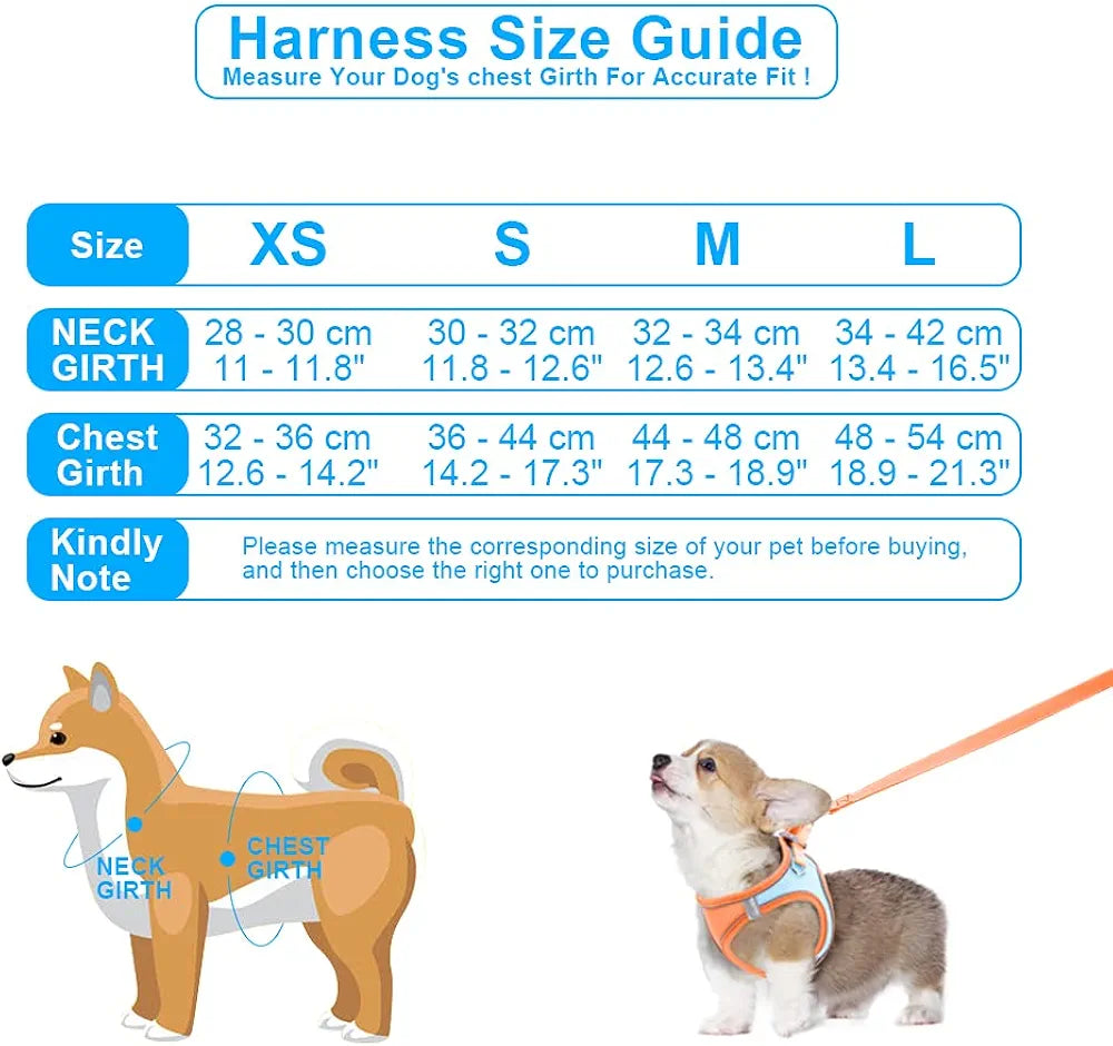 Cat Harness Traction Rope