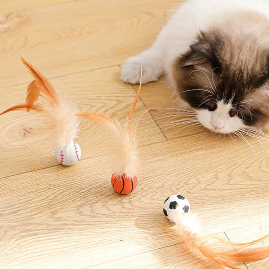 Bouncing Cat Ball with Feather