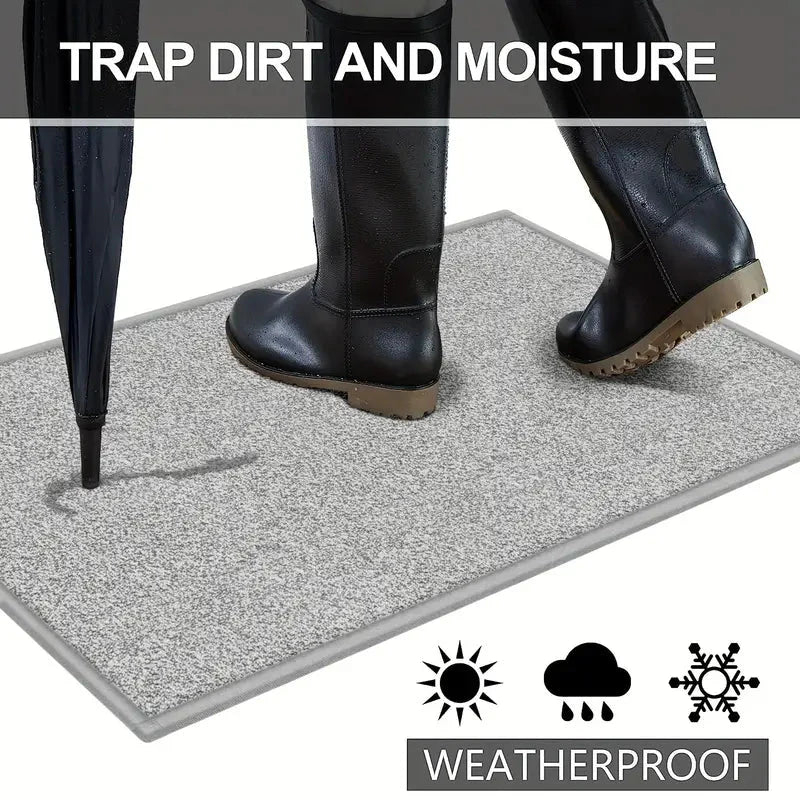 Cat Scratch Resistant Rug Carpet