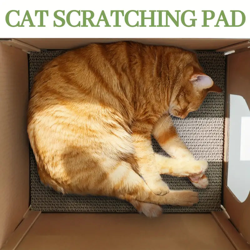 Cat Scratching House