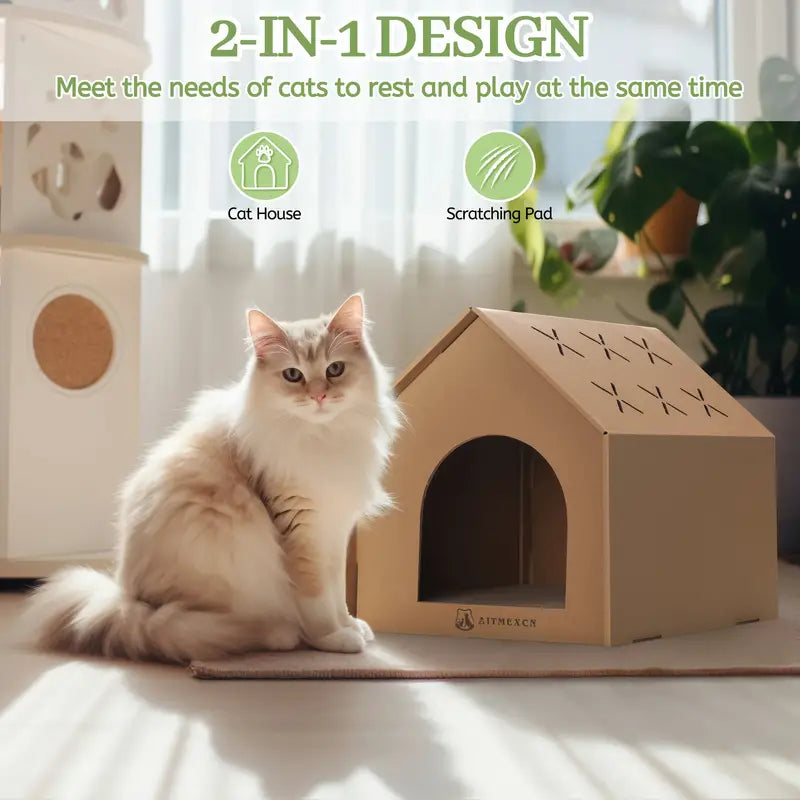 Cat Scratching House