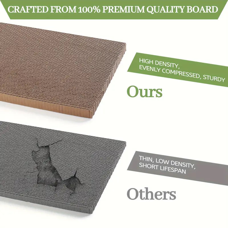 Cat Scratching House