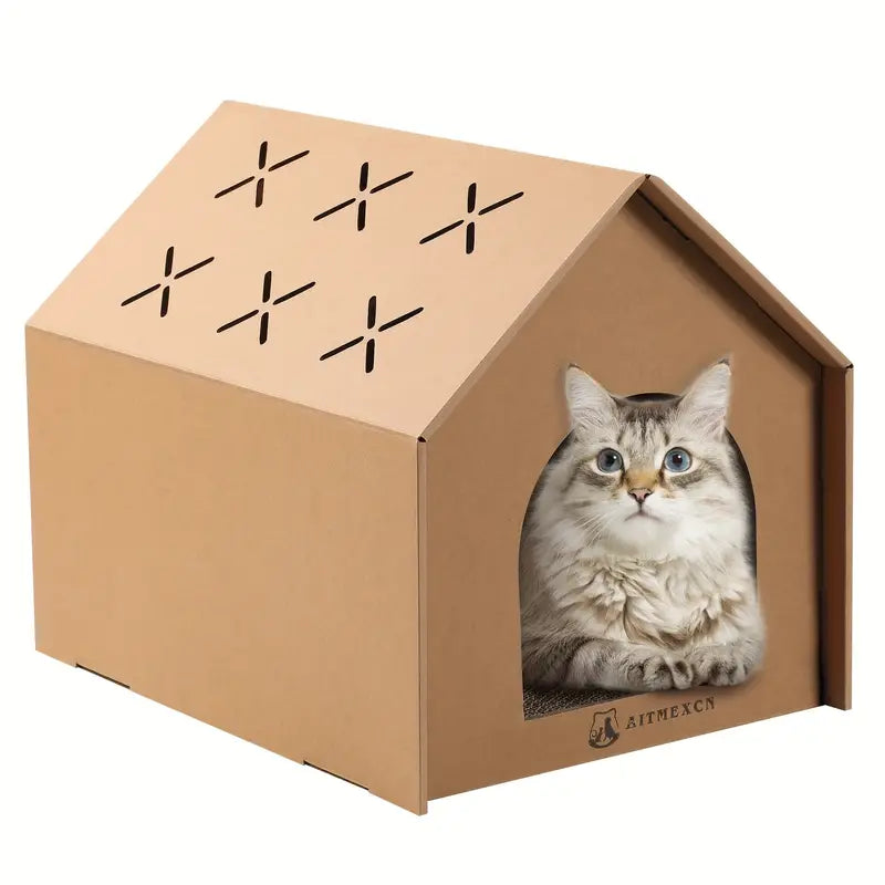 Cat Scratching House