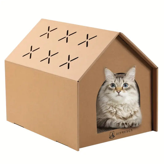Cat Scratching House