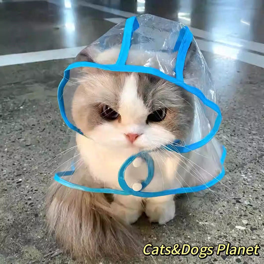 Cat Raincoat