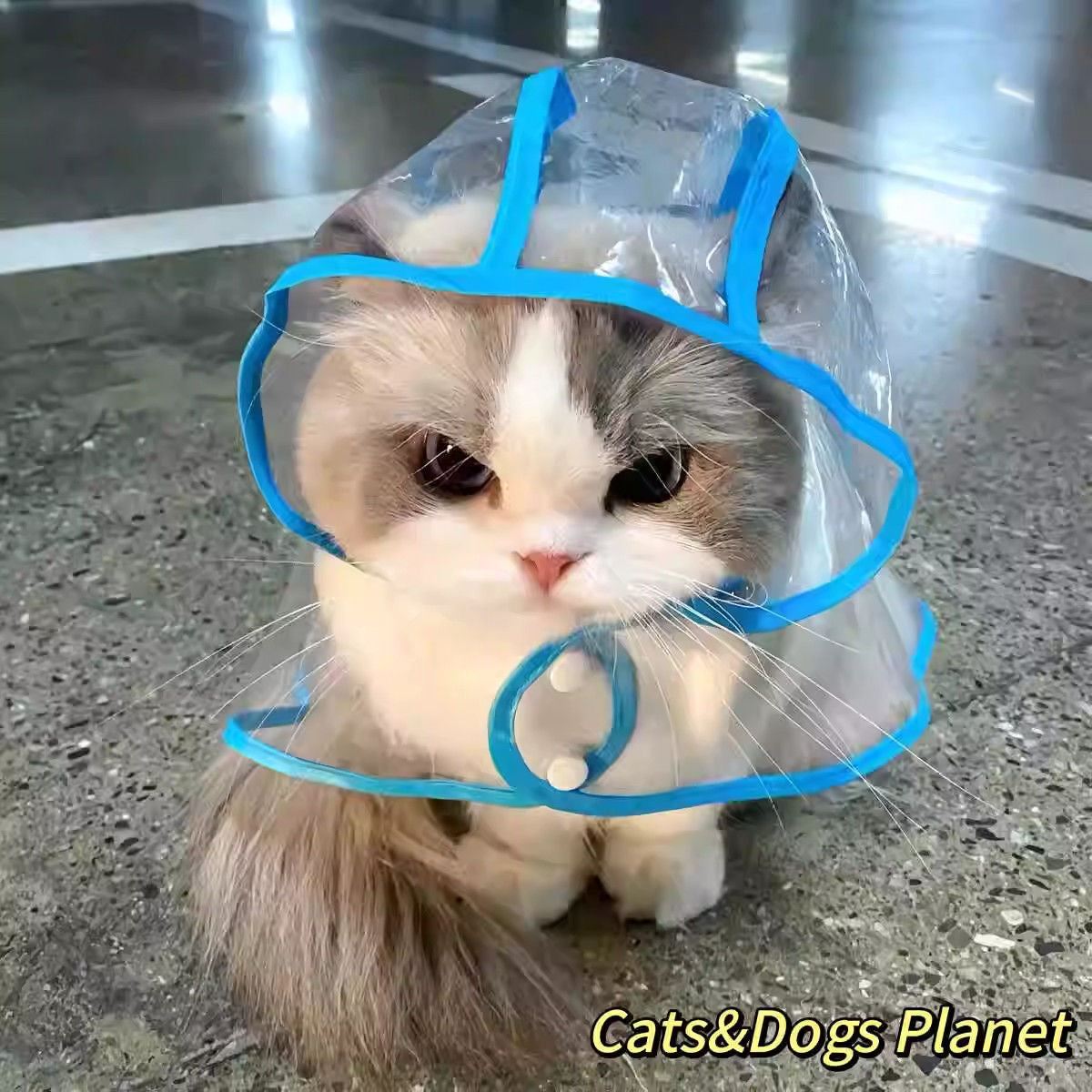 Cat Raincoat