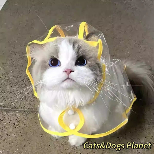 Cat Raincoat