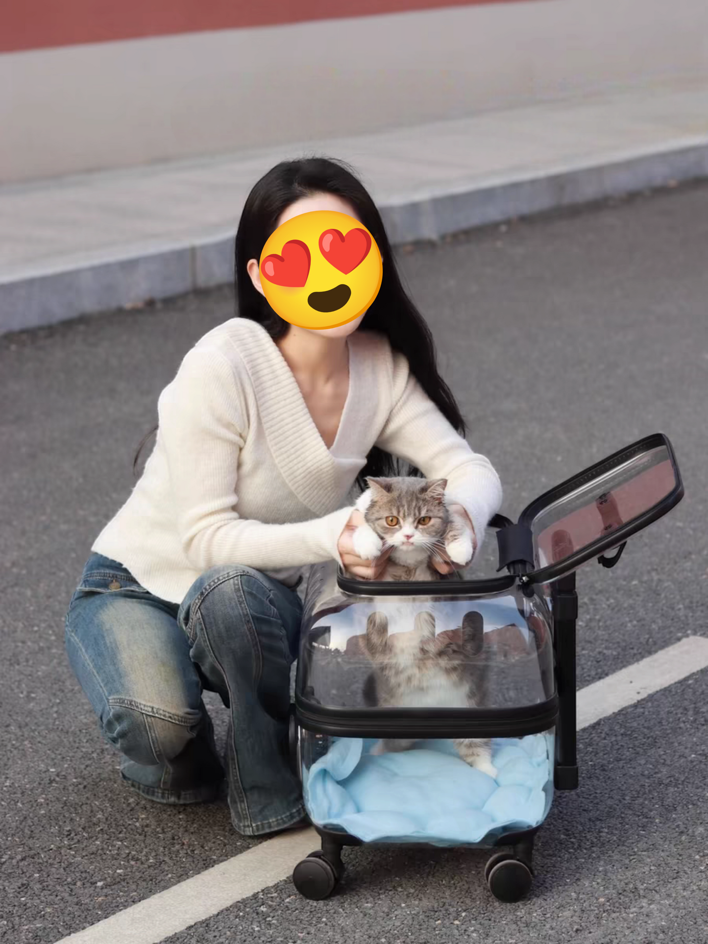 Pet Trolley Suitcase