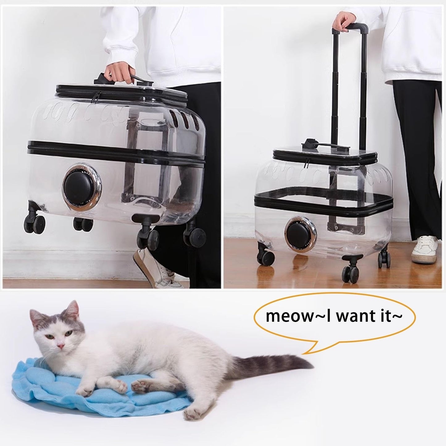 Pet Trolley Suitcase