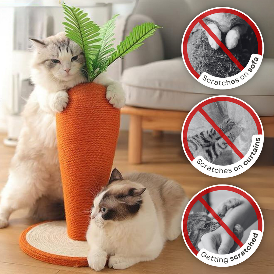 Cute Cat carrot Scratching Post
