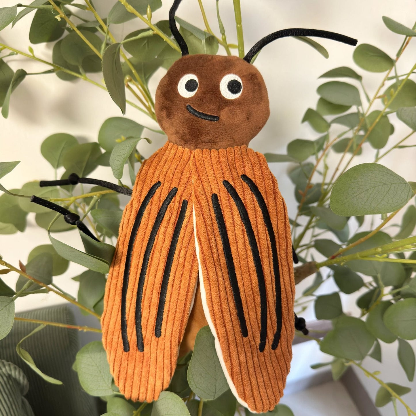 Ladybug Cat Molar Cockroach Toy