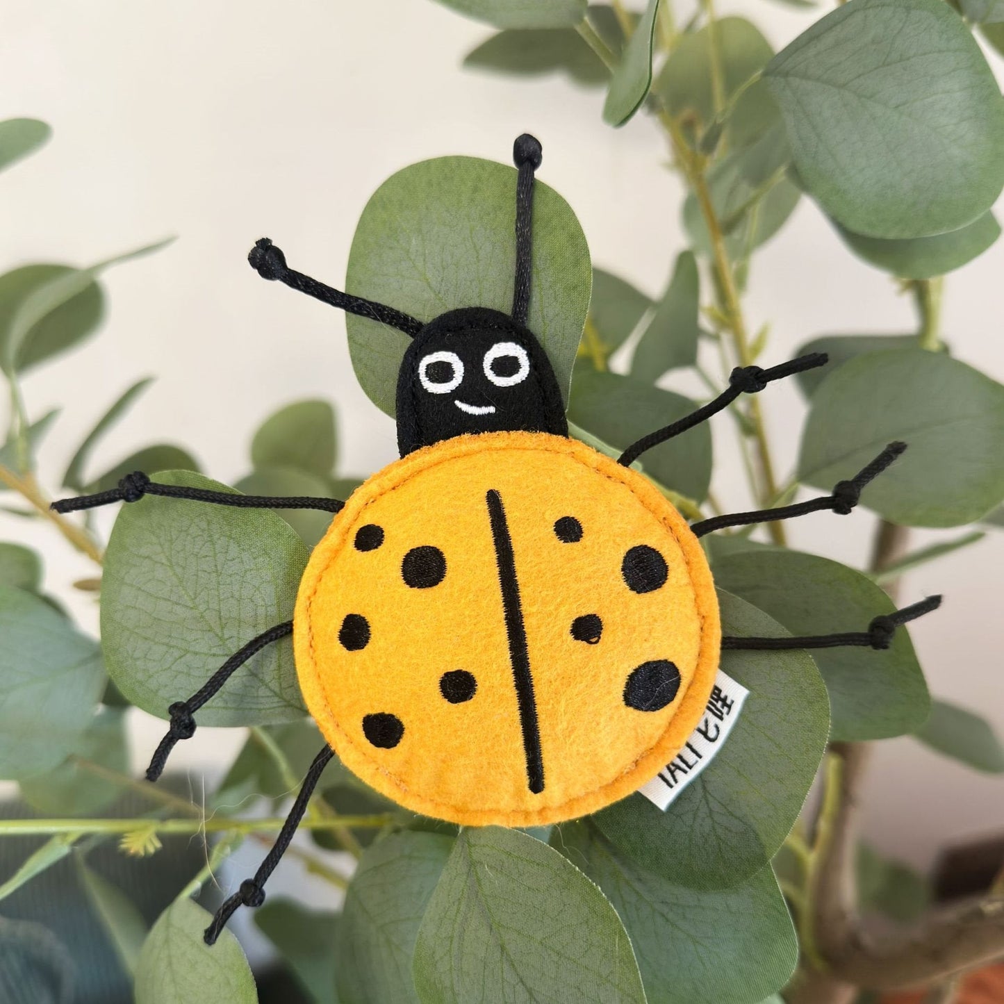 Ladybug Cat Molar Cockroach Toy