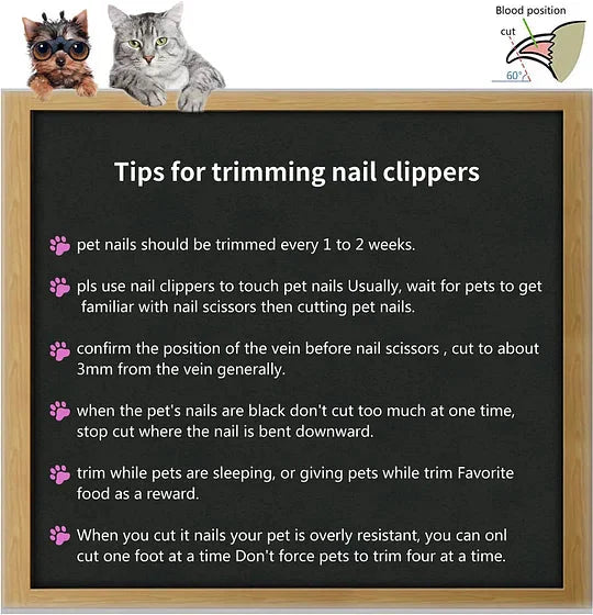 Pet Cat Grooming Brush for Shedding Hair Removal Tool