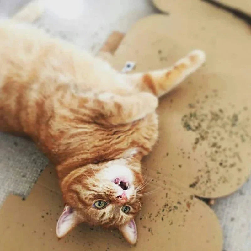 100% Organic Natural Catnip – Fun & Healthy Treat for Cats