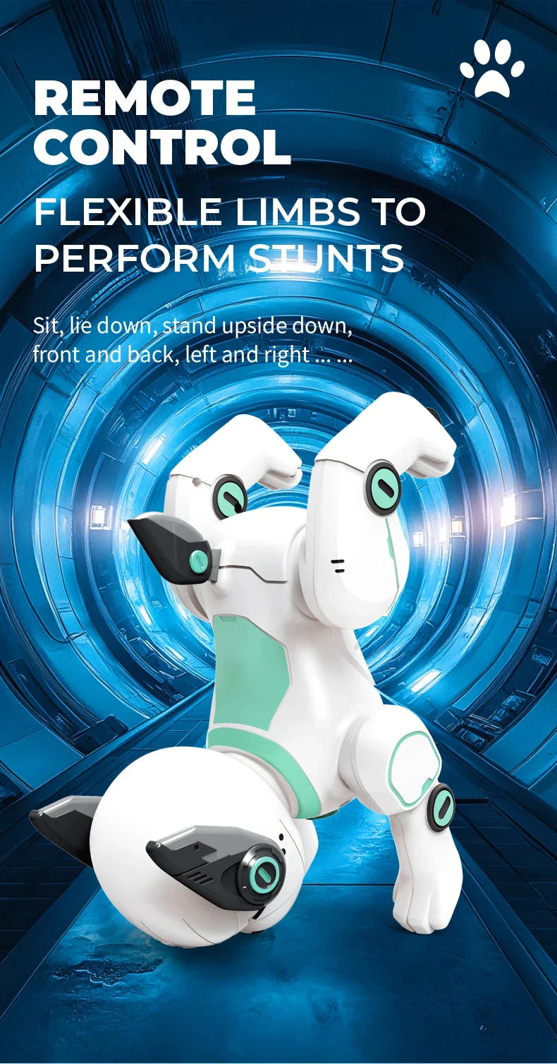 Robot Puppy Smart Toy Birthday Gifts for Kids