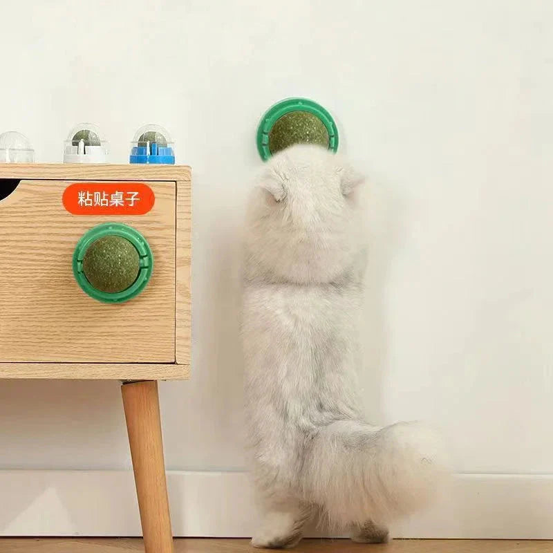 Catnip Wall Stick-On Ball – Healthy Cat Treat & Playtime in One!