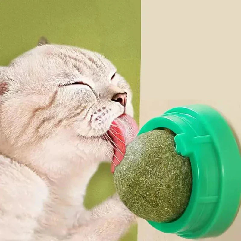 Catnip Wall Stick-On Ball – Healthy Cat Treat & Playtime in One!