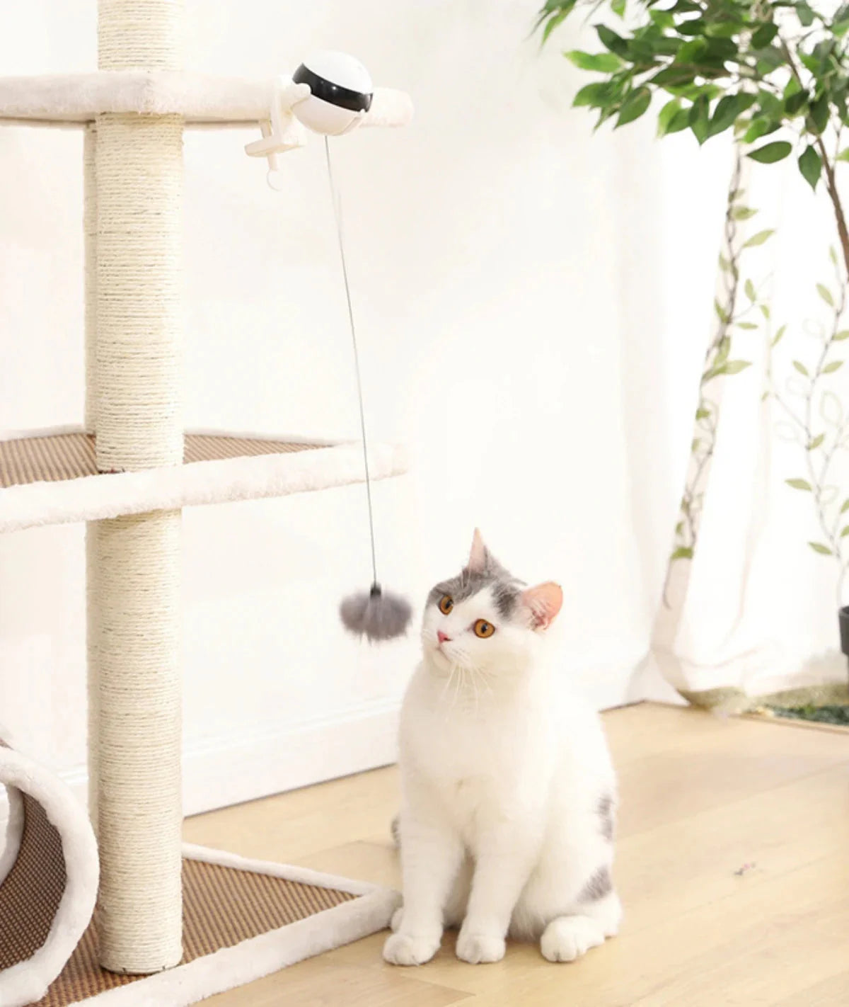 Automatic Retractable Teasing Ball