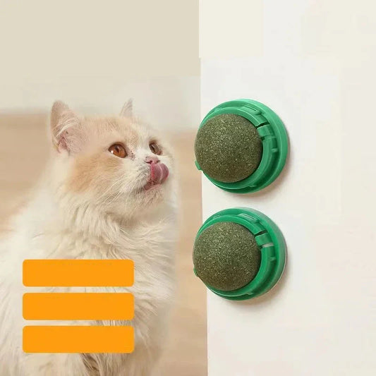 Catnip Wall Stick-On Ball – Healthy Cat Treat & Playtime in One!