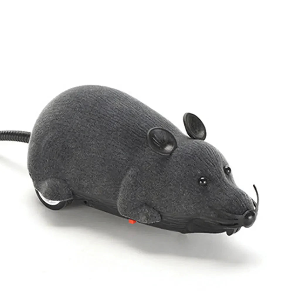 Robotic Cat mouse Toy