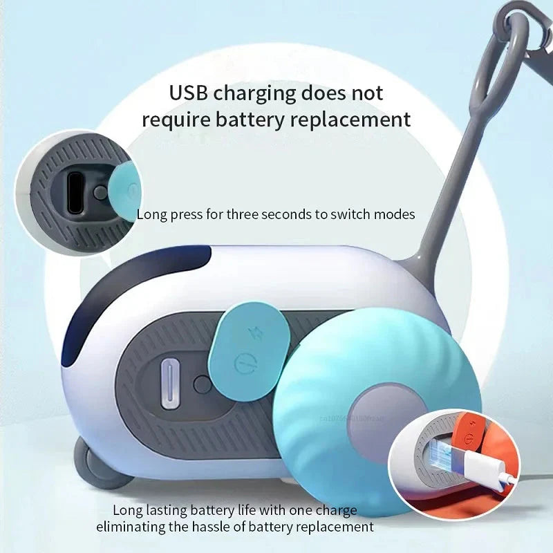 Smart Cat training Toy